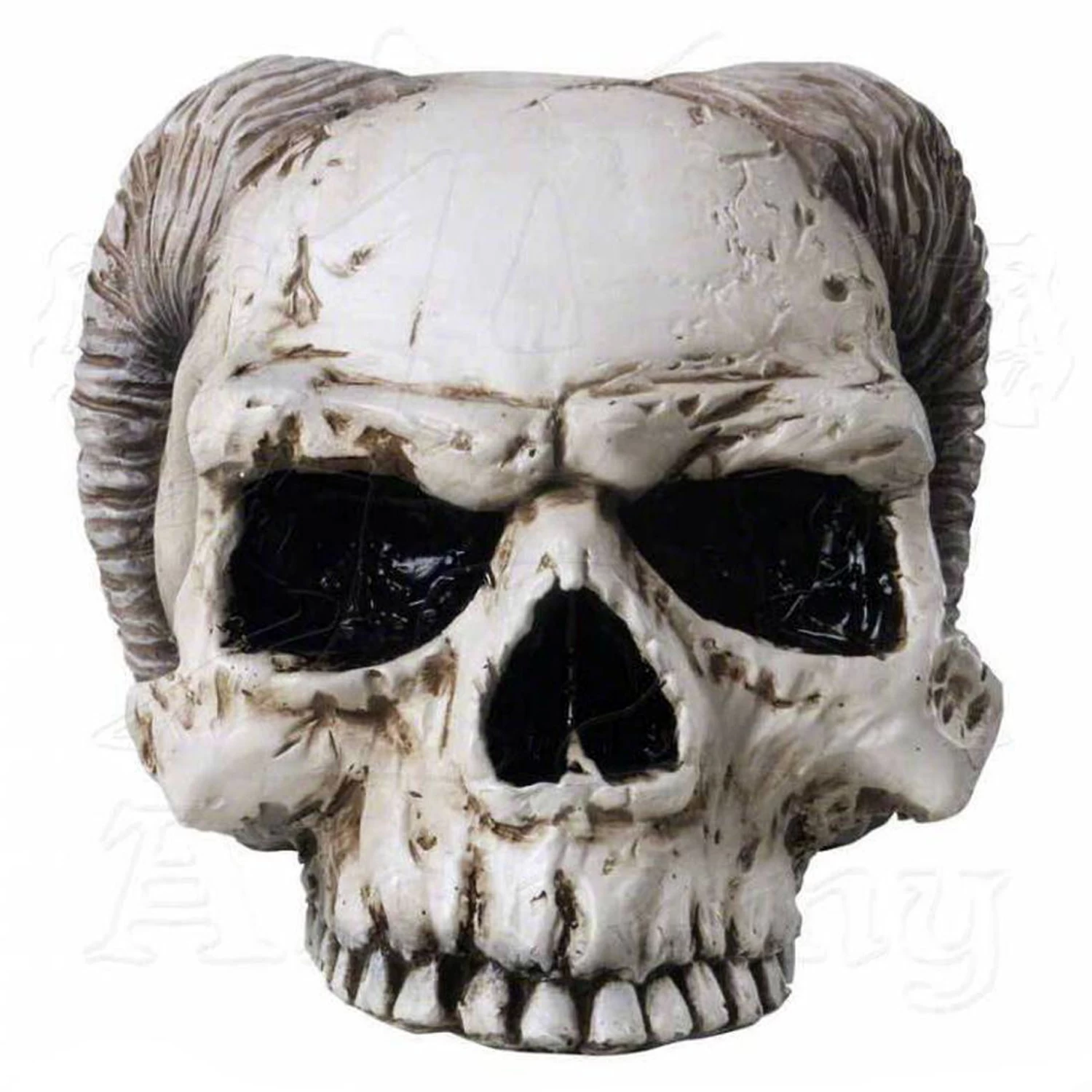 Crâne 'Angel Of Hades' En Résine 6 Crâne 'Angel Of Hades' En Résine – Image 4