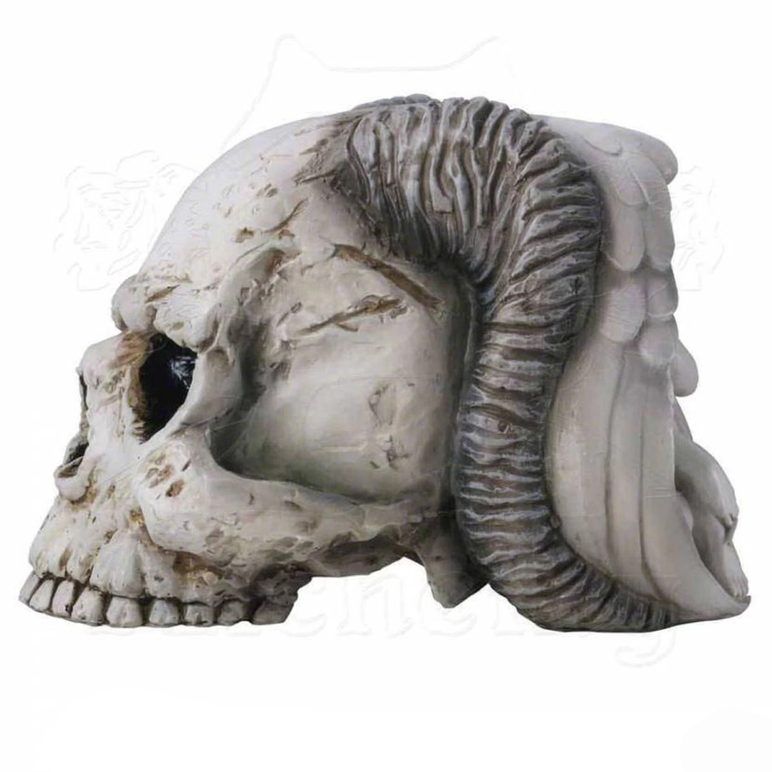 Crâne 'Angel Of Hades' En Résine 8 Crâne 'Angel Of Hades' En Résine – Image 6