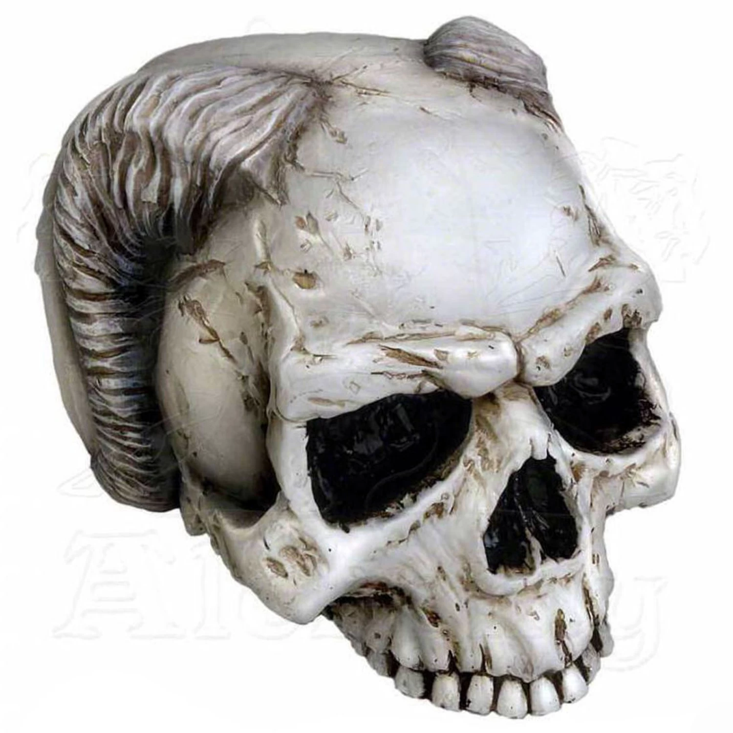 Crâne 'Angel Of Hades' En Résine 3 Crâne 'Angel Of Hades' En Résine