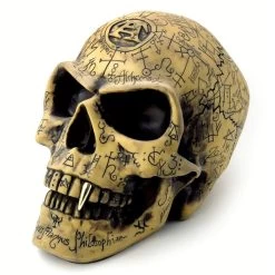 Crâne En Résine 'Omega Skull'