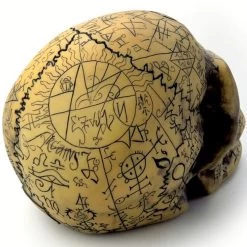 Crâne En Résine 'Omega Skull' -Magasin De Mode crane en resine omega skull 1 3