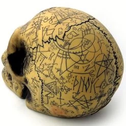 Crâne En Résine 'Omega Skull' -Magasin De Mode crane en resine omega skull 1 4