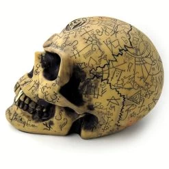 Crâne En Résine 'Omega Skull' -Magasin De Mode crane en resine omega skull 1 5