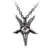 Pendentif 'Templars Bane' -Magasin De Mode pendentif templars bane