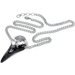 Pendentif 'Volvan Ravenskull' -Magasin De Mode pendentif volvan ravenskull 2